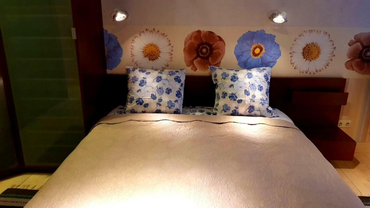 다우가프필스 Fuksija House 아파트 외부 사진